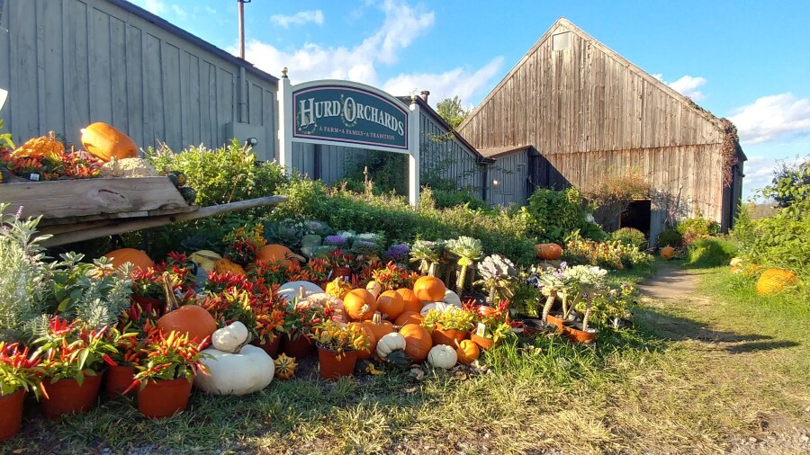 Hurd Orchards